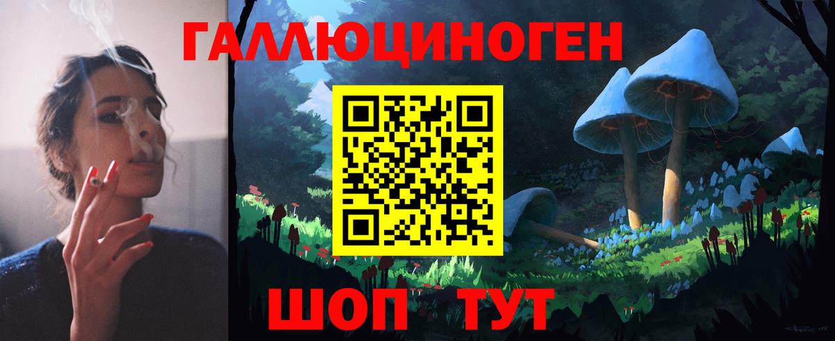 Псилоцибиновые грибы Psilocybine cubensis Шелехов